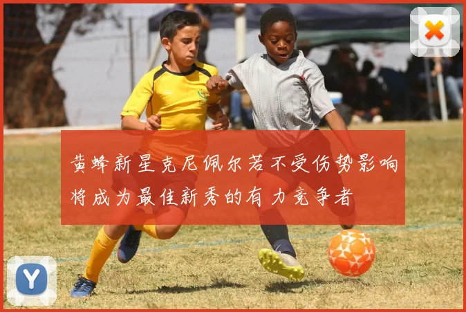 黄蜂新星克尼佩尔若不受伤势影响将成为最佳新秀的有力竞争者