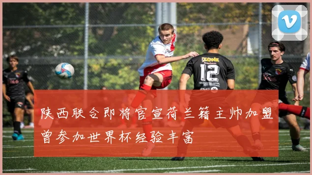 陕西联合即将官宣荷兰籍主帅加盟曾参加世界杯经验丰富