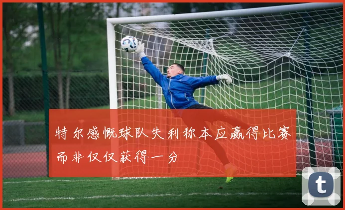 特尔感慨球队失利称本应赢得比赛而非仅仅获得一分