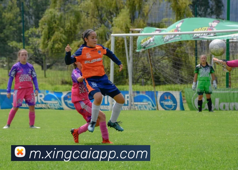 杏彩体育平台生态图