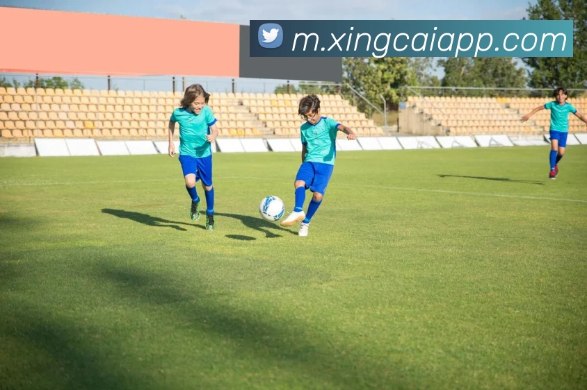 杏彩体育APP 封面图