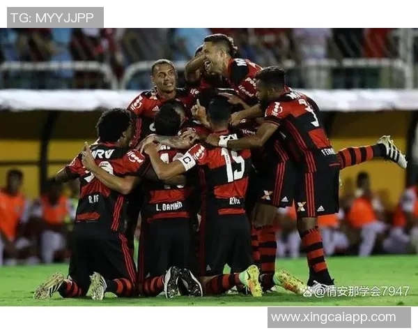 弗鲁米嫩塞大胜锁定巴甲前七名资格争夺明年解放者杯席位希望大增