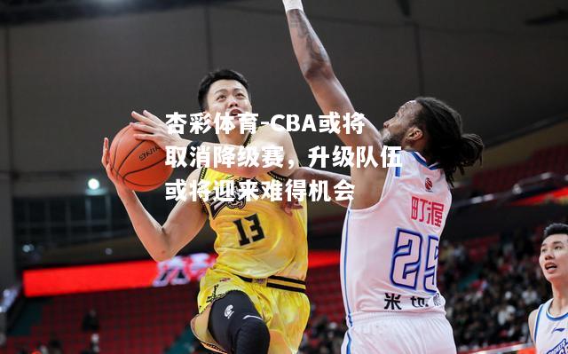 CBA或将取消降级赛，升级队伍或将迎来难得机会